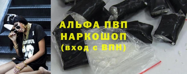 ECSTASY Бородино