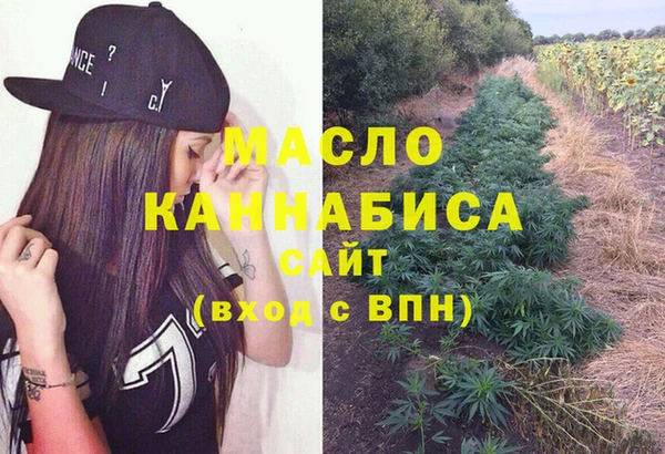 ECSTASY Бородино