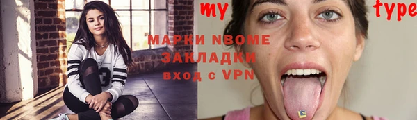 ECSTASY Бородино