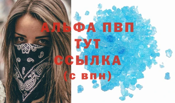 ECSTASY Бородино