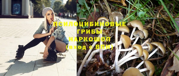 ECSTASY Бородино