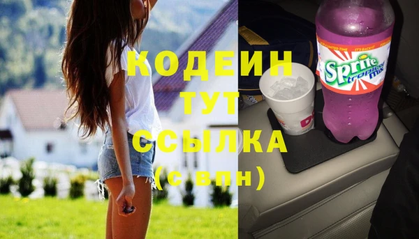 ECSTASY Бородино