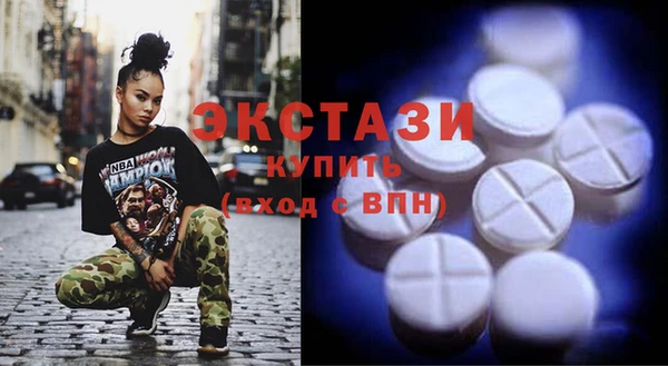 ECSTASY Бородино