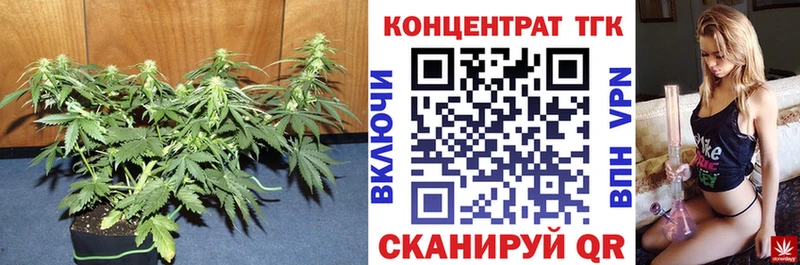 где продают Ильский ТГК THC oil